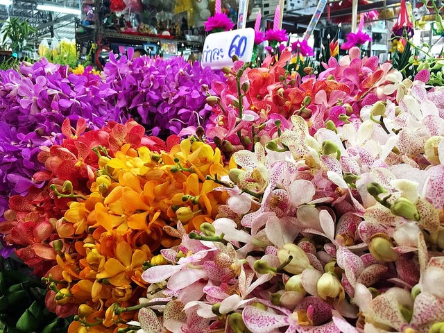 Via libera alle aperture dei negozi di vicinato per la vendita di fiori e piante
